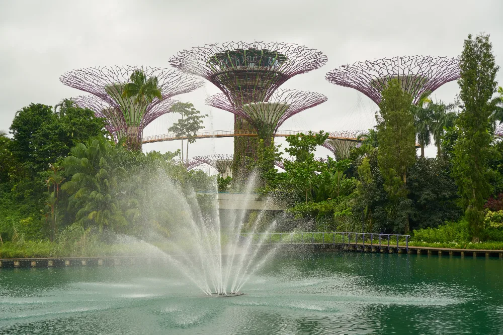 Singapore - Singapore Gardens by The Bay