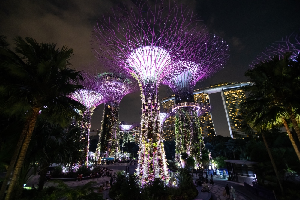 Singapore - Purple Tree Light Singapore Landmark